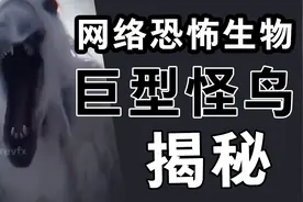 南极恐怖生物？在tiktok上快速传播的恐怖怪鸟！！
