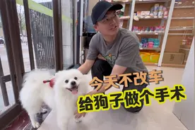 果肉的嘎蛋日记！犹豫了好久，最终还是决定趁着年龄小给狗狗绝育视频封面