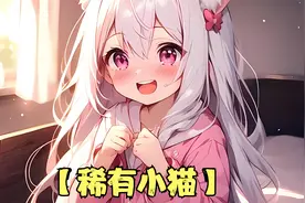 我家猫咪竟然变成了少女！起猛了，重睡视频封面