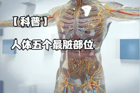【科普】人体五个最脏部位视频封面