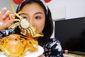 东北鹤岗旅居生活，供暖后室内25度，120元买30只盘锦河蟹吃视频封面