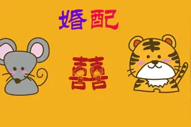 生肖鼠和生肖虎的婚配好吗？视频给你分析视频封面