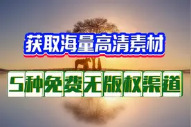 免费无版权视频图片素材哪里找？教你5种获取渠道，解决创作难题