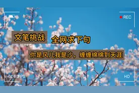 文笔挑战：你是风儿我是沙，缠缠绵绵到天涯。全网求下句视频封面