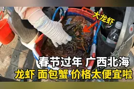 到广西北海过年，海鲜太便宜啦！龙虾60元一斤，面包蟹30元一斤视频封面