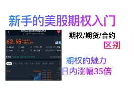 亏损有限盈利无限的美股期权入门/美股进阶期权交易/小白期权入门视频封面