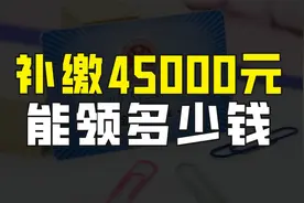 黑龙江城乡居民养老保险，一次性补缴45000元，每个月能领多少钱视频封面