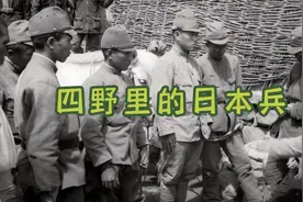 四野里的日本兵视频封面