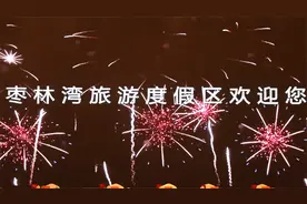 仪征枣林湾旅游度假区2024年招商引资动员大会视频封面