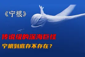 传说中的史前海怪《宁根》它真的存在吗？