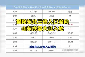 揭秘东北三省人口流向：山东成最大迁入地！视频封面