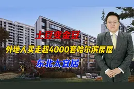 土豆变金豆，外地人俩月买走超4000套哈尔滨房屋，东北太宜居视频封面