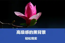轻松实现高级感的黑背景，分享实操过程，可以应用于花卉与人像视频封面