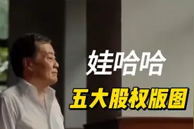 娃哈哈不仅有国资，还有更多的民资，一次性说清娃哈哈股权版图