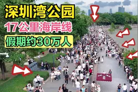 深圳湾公园，出了地铁就能看海，17公里海岸线，假期一天约30万人视频封面