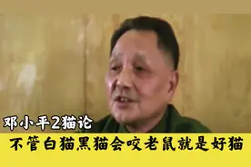 无论白猫黑猫，会咬老鼠就是好猫，邓小平2猫论。视频封面