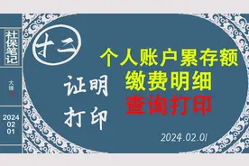 #辽宁养老金测算通过辽事通查询个人账户累计存储额和缴费明细视频封面