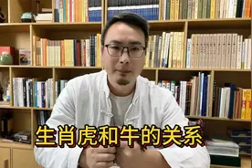 生肖虎和牛之间的关系