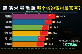 江西安徽湖南湖北河南河北哪个省的农村最富有？来看数据对比视频封面