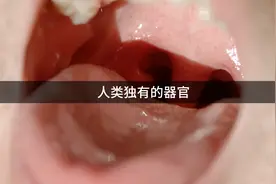 空腔中被人误解的器官，它不仅可以分泌唾液，还能让你打呼噜视频封面