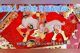 属鼠人与12生肖婚配建议视频封面