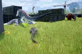 ①恐龙岛吞噬进化，还是老鳄鱼好玩啊，展现老六技术的时候到了、