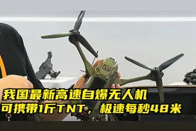 我国最新军用高速自爆无人机！可携带1斤TNT，极速每秒48米！视频封面