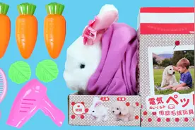 黑色和白色的仿真宠物兔玩具视频封面