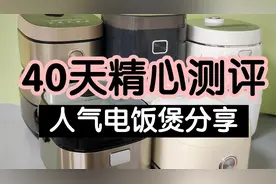 电饭煲怎么选？专业自费测评推荐宫菱、苏泊尔、小熊！视频封面