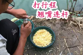 嫩玉米打翘嘴实战 频率搞起来 找到鱼层就是一波连杆儿视频封面