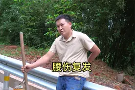 陈老五为生活不顾腰伤干重活，导致旧伤复发，连走路都困难视频封面