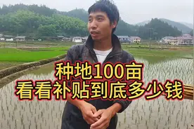 农村种地100亩，一年到底能有多少补贴，没想到会有这么多视频封面