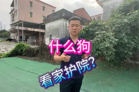 看家护院什么狗好？来看训犬师的推荐，有没有你喜欢的？