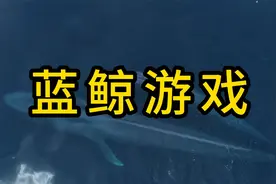 黑暗网络：蓝鲸游戏的恐怖真相