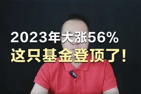 2023年大涨56%，这只基金登顶了！视频封面
