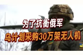 为了抗衡俄军，乌克兰下血本，计划采购30万架无人机，要以小博大视频封面