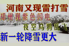 河南郑州雷打雪现紫色闪电，乌鸦乱飞怎么回事？更大降雪又要来视频封面