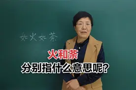 成语“如火如荼”当中的“火”和“荼”分别指什么意思呢？#老师视频封面