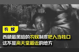 把人当牲口，揭露西藏最黑暗的农奴制度，这不是离天堂最近的地方视频封面