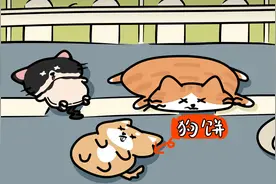 为什么马路上被压扁的猫比狗多？是猫的智商不够高吗？视频封面