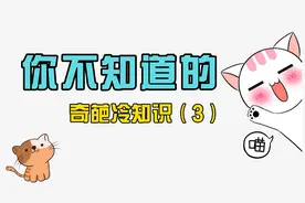 冷知识：十二星座其实有十三个