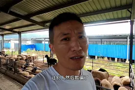 花的好羊的钱，买回来的却是破烂羊，这就是典型的挂羊头卖狗肉。视频封面