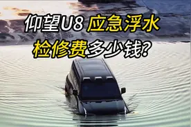 #仰望U8 应急浮水一次检修费1.88万，你觉得贵吗？视频封面