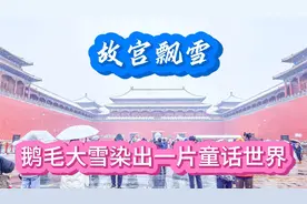 故宫飘雪太美了，鹅毛大雪将红墙绿瓦染成洁白的世界12月13日实录视频封面