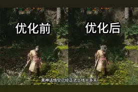 6750GRE 10G黑神话悟空帧数画质优化指南视频封面