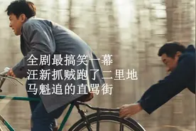 南来北往：全剧最搞笑一幕，汪新抓贼跑了二里地，马魁追的直骂街视频封面