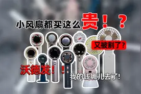 【手持风扇测评】这个世界终究还是颠起来了！怎么天天都在当韭菜视频封面