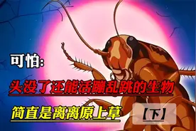没头还能活蹦乱跳的生物，死神看了都懵逼
