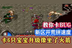 热血传奇：教你卡BUG，新区开荒卡6只宝宝，升级像坐了火箭！