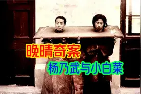 杨乃武小白菜同住一院，坊间流言蜚语，葛小大新生怀疑准备捉奸视频封面